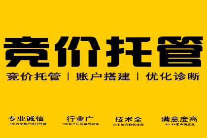广告行业中的信息流大师：成功案例解析